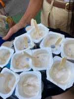 Votre enfant adorera nos stages d'anglais avant la rentrée : Stages du 26 au 30 août (hors mercredi) à Marseille